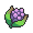 玉黍果