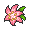 葛拉西蒂亚花