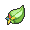 星桃果