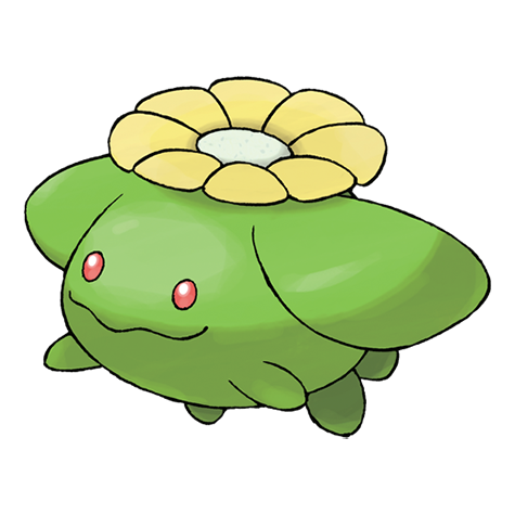 毽子花